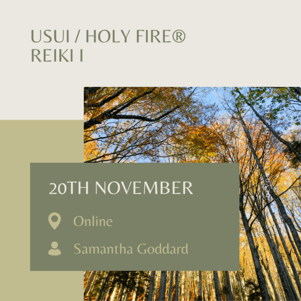 Usui / Holy Fire® Reiki I 20th November